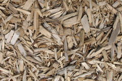 biomass boilers Kirtomy