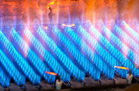 Kirtomy gas fired boilers